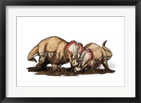 Centrosaurus Fine Art Print