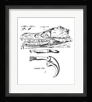 Velociraptor Skull Chart Framed Print