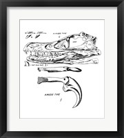 Velociraptor Skull Chart Fine Art Print