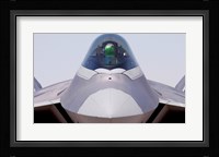 F-22 Raptor Fine Art Print