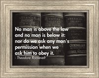 No Man Is Above the Law Fine Art Print