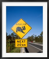 Koala sign on the road, Queensland, Australia Fine Art Print