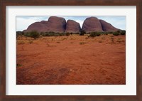 Rock formations on a landscape, Olgas, Uluru-Kata Tjuta National Park, Northern Territory, Australia Closeup Fine Art Print
