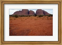 Rock formations on a landscape, Olgas, Uluru-Kata Tjuta National Park, Northern Territory, Australia Closeup Fine Art Print