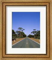 Road passing through a forest, Western Australia, Australia Fine Art Print