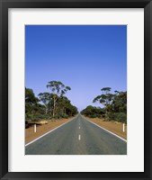 Road passing through a forest, Western Australia, Australia Fine Art Print