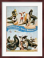 Forepaugh & Sells Brothers Fine Art Print
