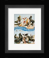Forepaugh & Sells Brothers Fine Art Print