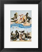 Forepaugh & Sells Brothers Framed Print