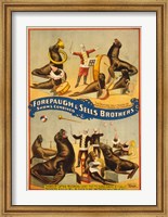 Sells Brothers Sea Lion Circus Fine Art Print