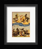Sells Brothers Sea Lion Circus Fine Art Print