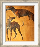 Study of Greyhounds Fine Art Print