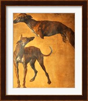 Study of Greyhounds Fine Art Print
