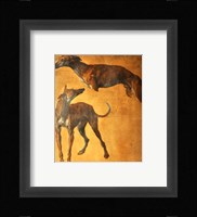 Study of Greyhounds Fine Art Print