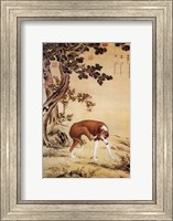 Ten Prized Dogs Chinese Greyhound Fine Art Print