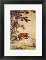 Ten Prized Dogs Chinese Greyhound Fine Art Print