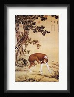 Ten Prized Dogs Chinese Greyhound Fine Art Print