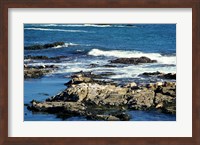 Seals on rocks at the coast, California, USA Fine Art Print