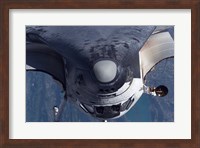 Space Shuttle Discovery as it approached the International Space Station Fine Art Print