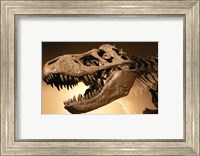 Palais de la Decouverte Tyrannosaurus Rex Fine Art Print