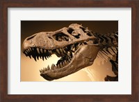 Palais de la Decouverte Tyrannosaurus Rex Fine Art Print