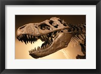 Palais de la Decouverte Tyrannosaurus Rex Fine Art Print