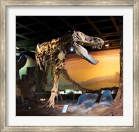 Tyrannosaurus Fossil Reproduction Fine Art Print