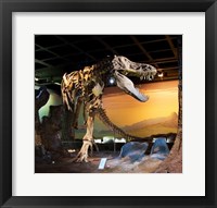 Tyrannosaurus Fossil Reproduction Fine Art Print