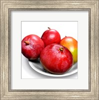 Mangoes In a White Bowl Fine Art Print