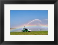 Rainbow seen under the spray from sprinkler in a vegetable field, Florida, USA Fine Art Print