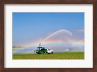 Rainbow seen under the spray from sprinkler in a vegetable field, Florida, USA Fine Art Print