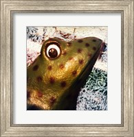 Profile of playground frog Fine Art Print
