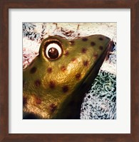 Profile of playground frog Fine Art Print
