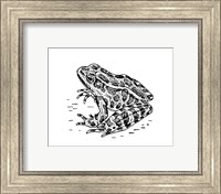 Frog Fine Art Print