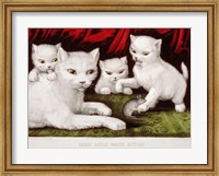 Three Little White Kitties Fine Art Print