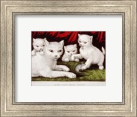 Three Little White Kitties Fine Art Print