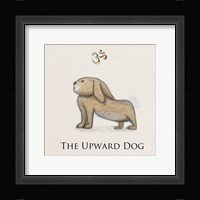 Bunny Yoga,  Upward Dog Pose Framed Print