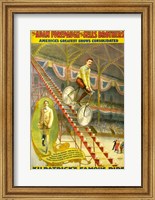 Kilpatrick's Famous Ride Fine Art Print