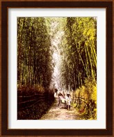 Bamboo Path Fine Art Print
