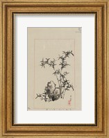 Rock and Bamboo in Garden Fine Art Print