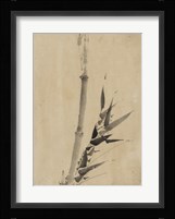 Banboo Ink Painting Fine Art Print