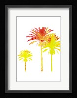 Sunny Palm I Framed Print