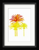 Sunny Palm II Framed Print