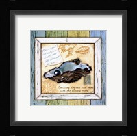 Sea Treasures IX Framed Print