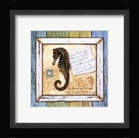 Sea Treasures X Framed Print