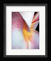 Flowers II Fine Art Print