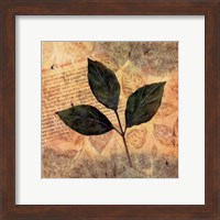 Antiqued Leaves I Fine Art Print