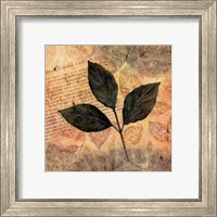 Antiqued Leaves I Fine Art Print