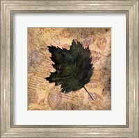 Antiqued Leaves III Fine Art Print