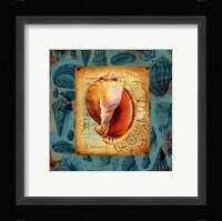 Seaside Gifts II Framed Print